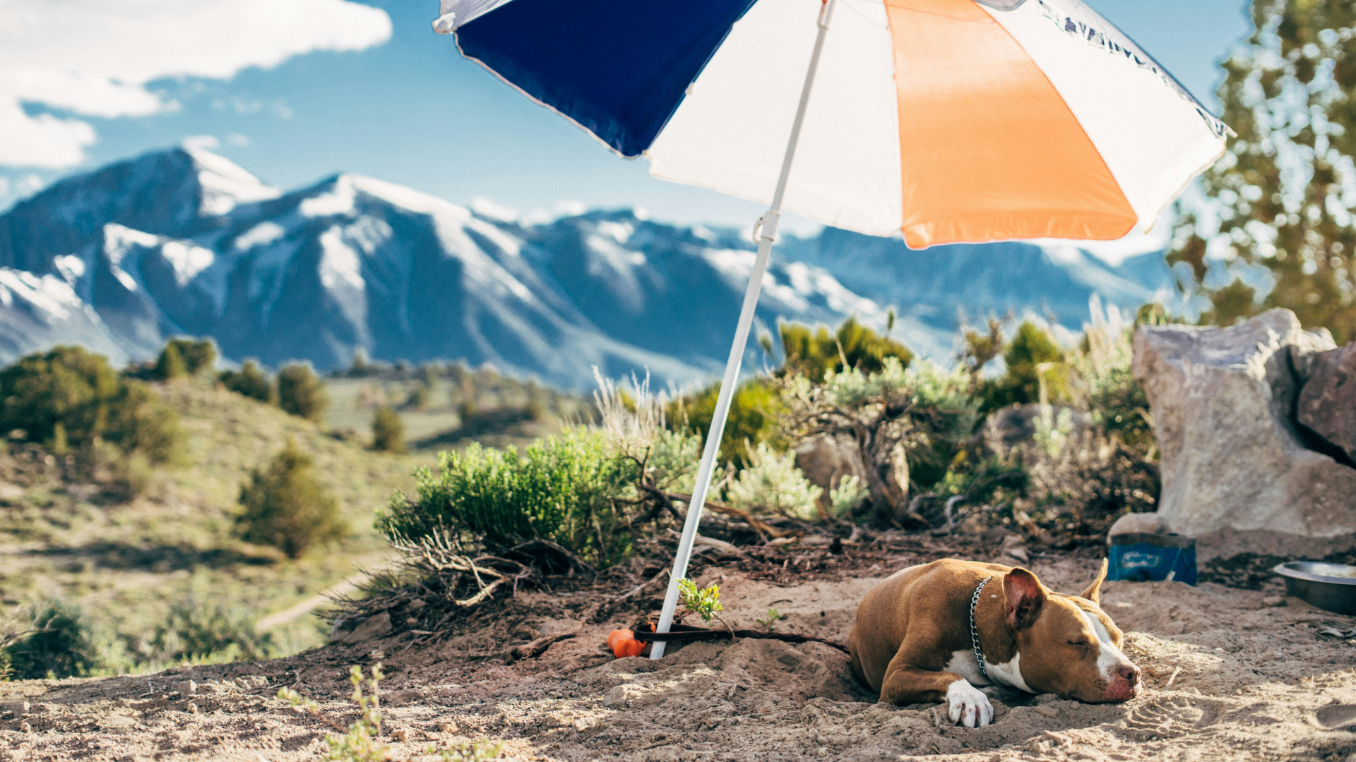 No, The Dog Days Are Not Over, Florence. Keep That Skincare Up!