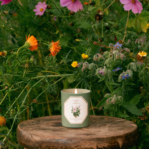 Rose & Mint Candle