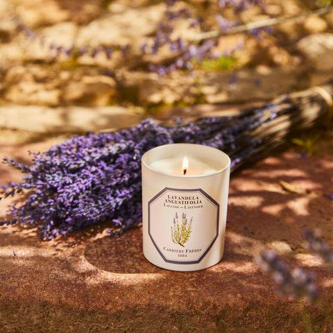 Lavender Candle