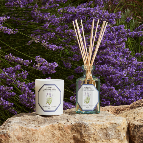 Lavender Reed Diffuser