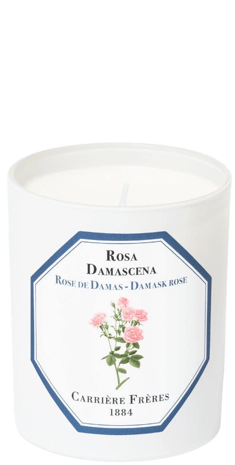 's Carrière Frères Rosa Damascena (Damask Rose) Candle - Bellini's Skin and Parfumerie 